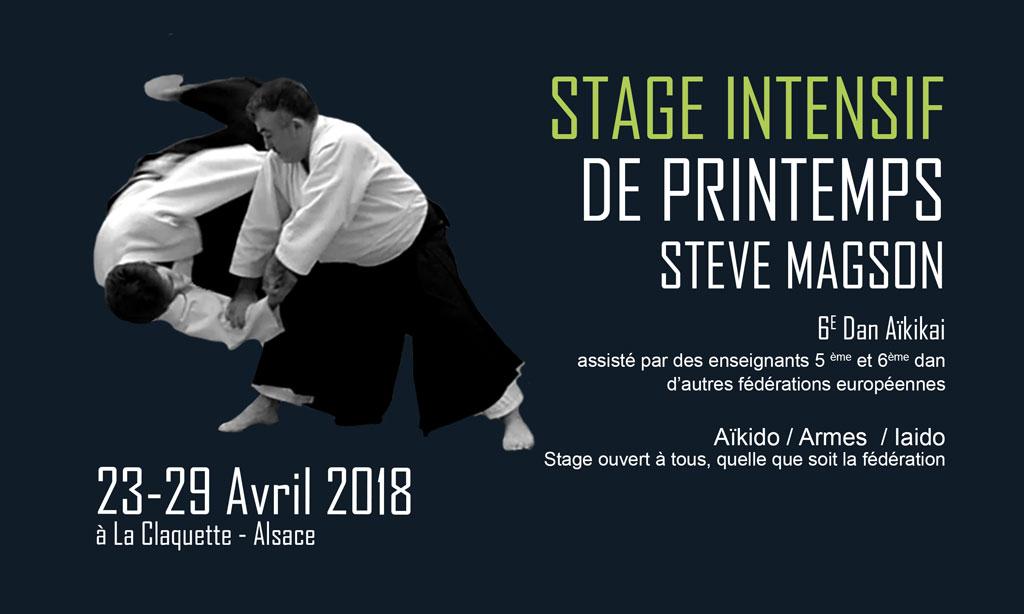 stage-aikido-printemps-2018-steve-magson-strasbourg-67-paris