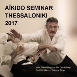 seminar-2017-sakura-dojo-greece-reichstett-67