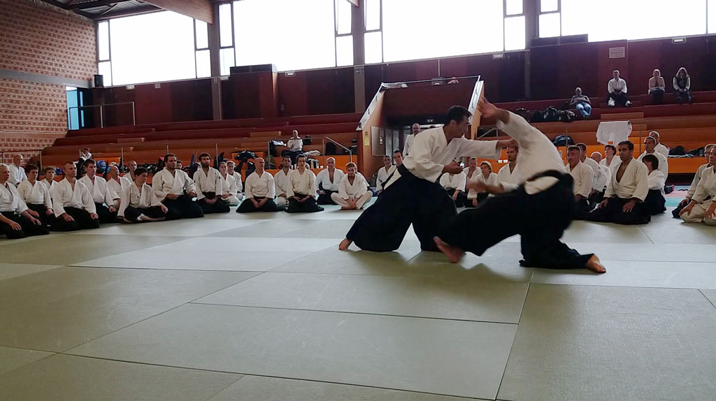 stage-2017-aikido-kobayashi-yukimitsu-sakumei-kan-aikikai-strasbourg-reichstett
