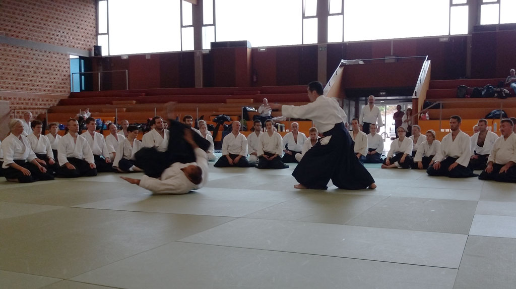 stage-2017-kobayashi-yukimitsu-aikido-eurometropole-strasbourg-grand-est