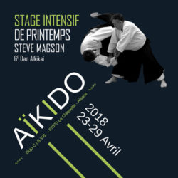 aikido-printemps-2018-steve-magson-68-grand-est-reichstett
