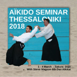 seminar-2018-sakura-dojo-greece-reichstett-67