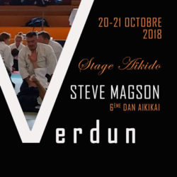 stage-aikido-steve-magson-55-belgique-nancy-luxembourg