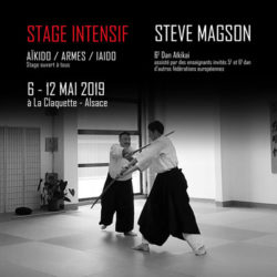 stage-aikido-2019-steve-magson-68-grand-est-reichstett-75