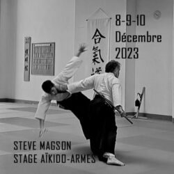 stage-aikido-reichstett-2023-steve-magson-strasbourg-bas-rhin