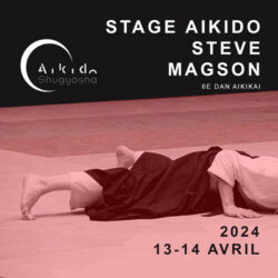stage-aikido-steve-magson-shugyosha-strasbourg