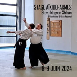 stage-aikido-reichstett-steve-magson-strasbourg-bas-rhin