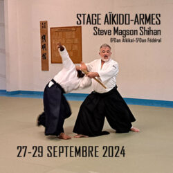 stage-aikido-reichstett-steve-magson-67-eurometropole-strasbourg