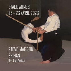 stage-stage-aikido-reichstett-avril-2026-steve-magson-strasbourg-bas-rhin